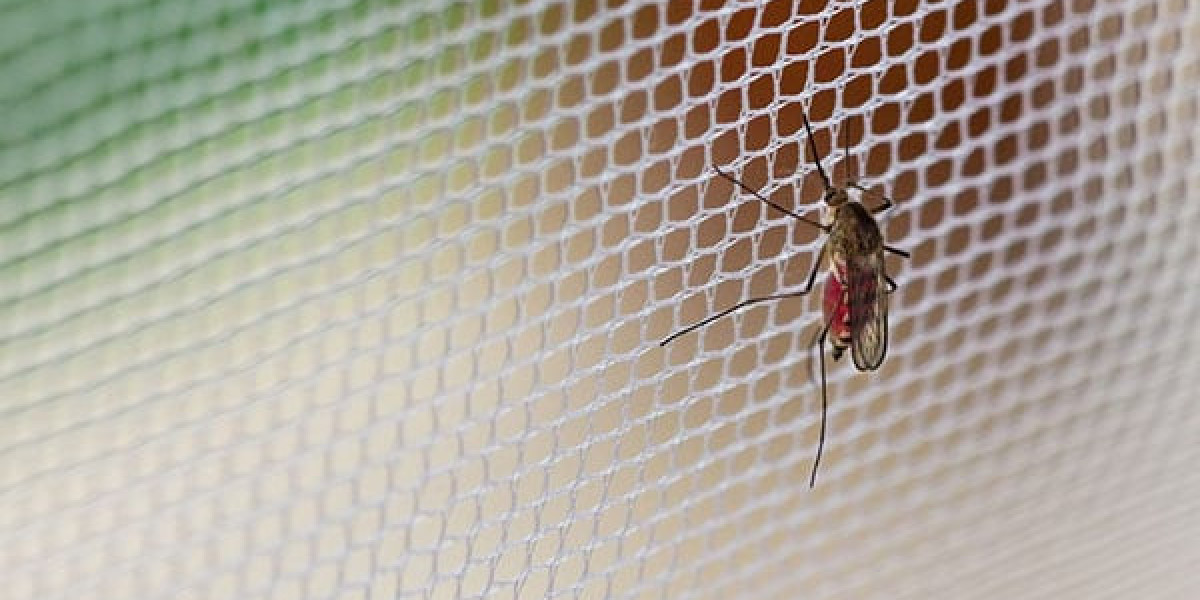 Top Benefits of Using Anti-Malaria Nets for Disease Prevention