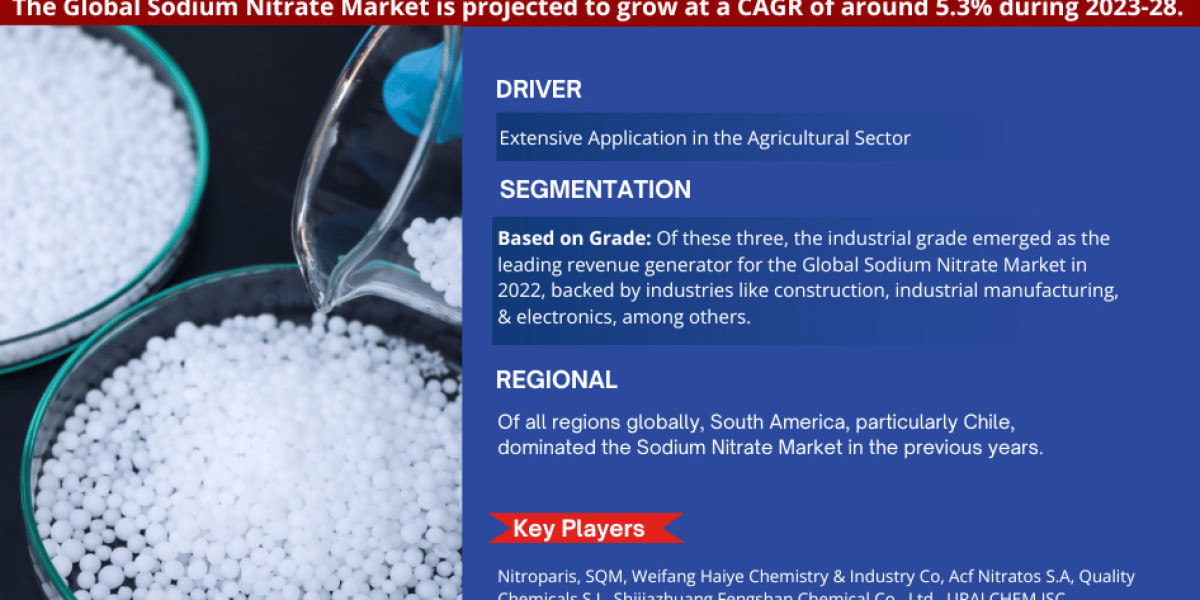 Sodium Nitrate Market Analysis 2028 - Size, Share, Growth, Trends, and Industry Insights